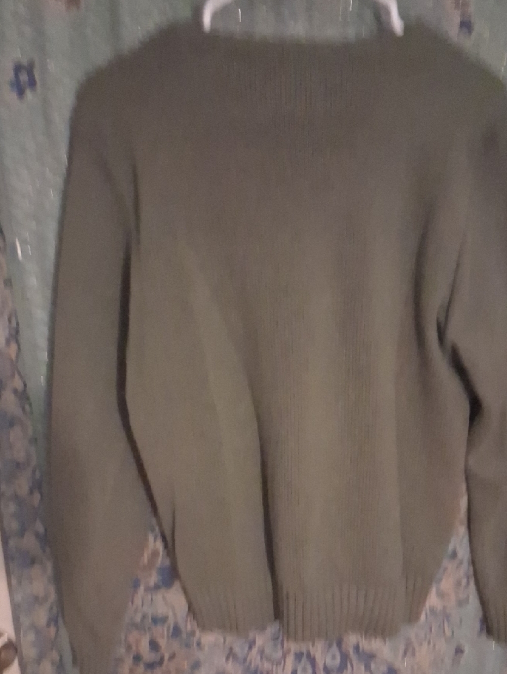 Polo by Ralph Lauren Olive Crewneck Sweater with Red Pony - Picture 6 of 6